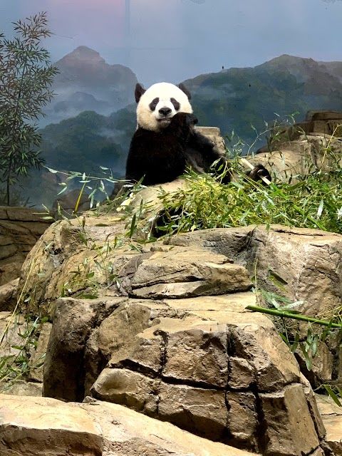 National Zoological Park